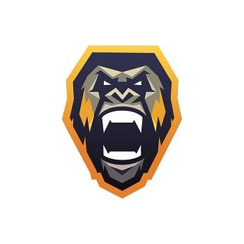 Bay Area Sports Performance and Fitness