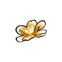  Magnolia Hawaii